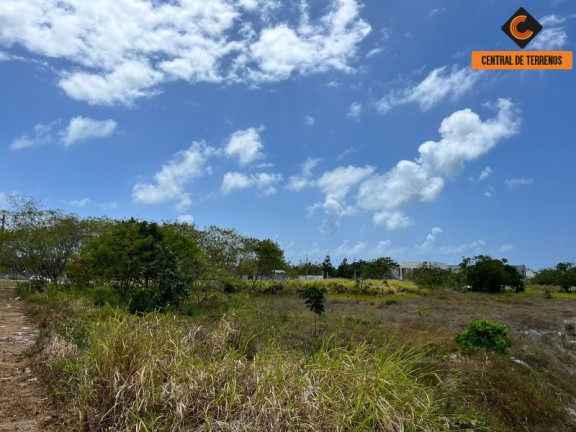 Terreno à Venda, 2.500 m² em Jacuipe Country - Camaçari