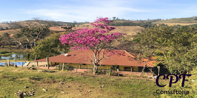 Imagem Imóvel com 3 Quartos à Venda, 5 m² em Centro - Ouro Fino