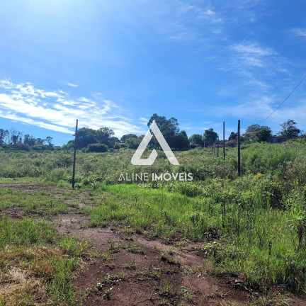 Imagem Fazenda à Venda, 40 m² em Vila Nova - Cruz Alta Imagem Fazenda à Venda, 40 m² em Vila Nova - Cruz Alta
