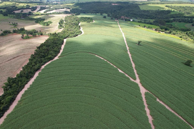 Imagem Chácara à Venda, 16 m² em Zona Rural - Cajuru Imagem Chácara à Venda, 16 m² em Zona Rural - Cajuru