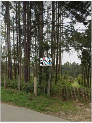 Imagem Terreno à Venda, 54.330 m² em Cipó Guaçu - Embu-guaçu Imagem Terreno à Venda, 54.330 m² em Cipó Guaçu - Embu-guaçu
