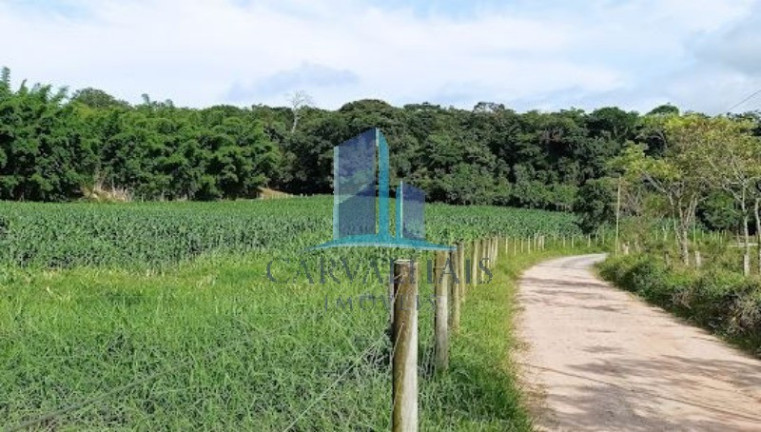 Imagem Imóvel com 2 Quartos à Venda, 5.000 m² em Andiroba - Esmeraldas