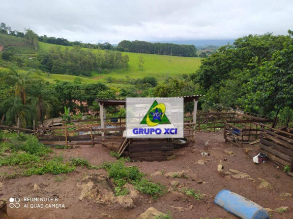 Imagem Fazenda à Venda, 70 m² em Cava - Pouso Alegre Imagem Fazenda à Venda, 70 m² em Cava - Pouso Alegre