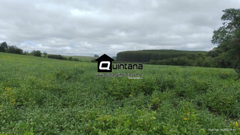Imagem Imóvel com 2 Quartos à Venda, 700.000 m² em Barrocada - Cachoeira Do Sul