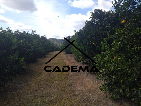 Imagem Chácara com 4 Quartos à Venda, 92 m² em Area Rural - São Gonçalo Do Sapucaí