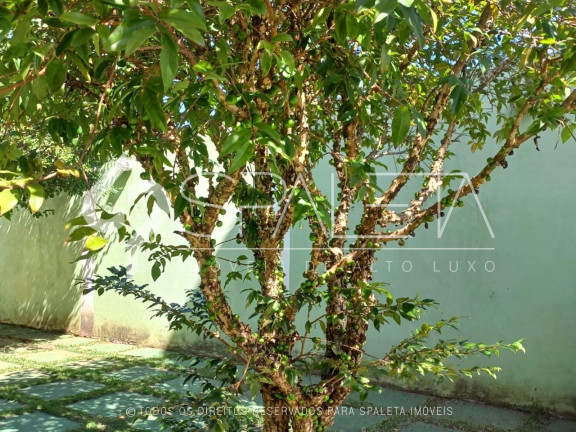 Imagem Imóvel com 7 Quartos à Venda,  em Horizonte Azul - Itupeva