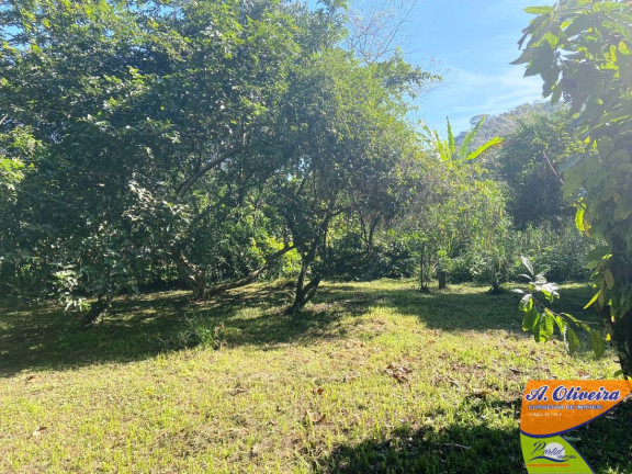 Imagem Chácara com 1 Quarto à Venda, 100 m² em Ubatumirim - Ubatuba