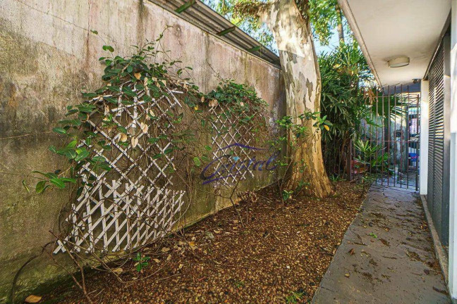 Imagem Casa com 4 Quartos à Venda, 334 m² em Sumarezinho - São Paulo Imagem Casa com 4 Quartos à Venda, 334 m² em Sumarezinho - São Paulo