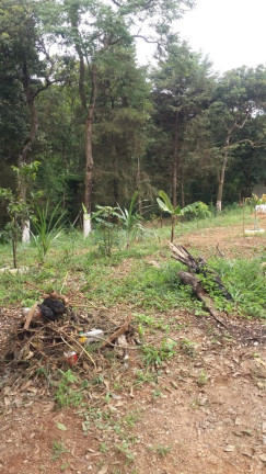 Imagem Chácara com 2 Quartos à Venda, 1.300 m² em Pirucaia - Mairiporã