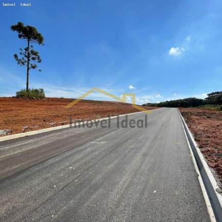 Imagem Terreno à Venda, 230 m² em Costeira - Araucária