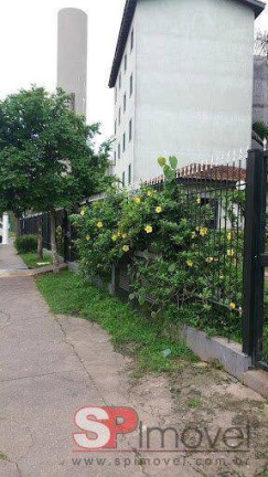 Imagem Apartamento com 2 Quartos para Alugar, 42 m² em Jardim Santa Terezinha (zona Leste) - São Paulo Imagem Apartamento com 2 Quartos para Alugar, 42 m² em Jardim Santa Terezinha (zona Leste) - São Paulo