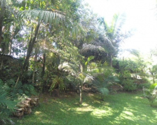 Imagem Casa com 5 Quartos à Venda, 385 m² em Piá - Nova Petrópolis