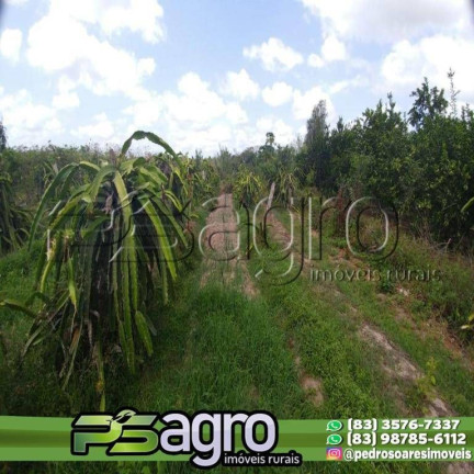 Imagem Fazenda à Venda, 45.000.000 m² em Alto Do Pinho - São Luís Imagem Fazenda à Venda, 45.000.000 m² em Alto Do Pinho - São Luís