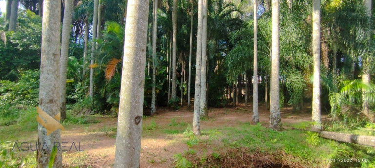 Imagem Chácara com 3 Quartos à Venda, 135 m² em Jardim Nossa Senhora Do Perpétuo Socorro - Campo Grande Imagem Chácara com 3 Quartos à Venda, 135 m² em Jardim Nossa Senhora Do Perpétuo Socorro - Campo Grande