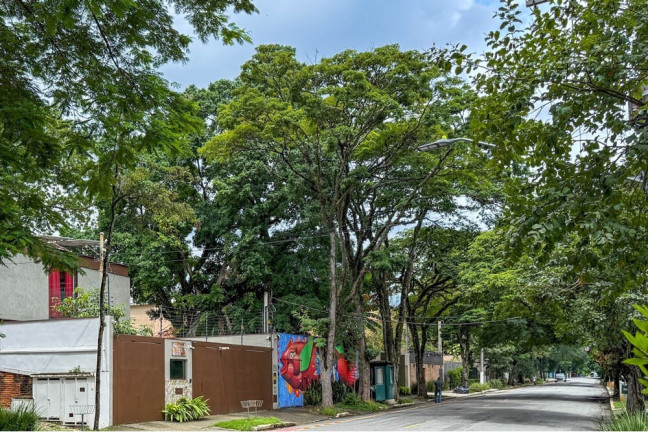 Imagem Terreno à Venda, 788 m² em Alto De Pinheiros - São Paulo