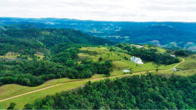 Imagem Imóvel com 2 Quartos à Venda, 950.000 m² em Zona Rural - Presidente Nereu