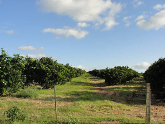 Imagem Fazenda à Venda, 41.140.000 m² em Zona Rural - Angatuba Imagem Fazenda à Venda, 41.140.000 m² em Zona Rural - Angatuba