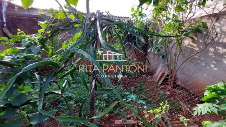Imagem Terreno à Venda, 250 m² em Jardim Jandaia - Ribeirão Preto