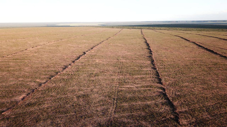 Imagem Fazenda à Venda, 1 m² em Mateiros Imagem Fazenda à Venda, 1 m² em Mateiros