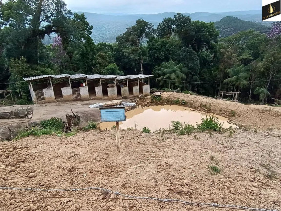 Imagem Imóvel com 2 Quartos à Venda, 182.000 m² em Zona Rural - Tunas Do Parana Imagem Imóvel com 2 Quartos à Venda, 182.000 m² em Zona Rural - Tunas Do Parana