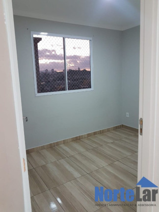 Imagem Apartamento com 2 Quartos à Venda, 41 m² em Jardim Das Graças - São Paulo