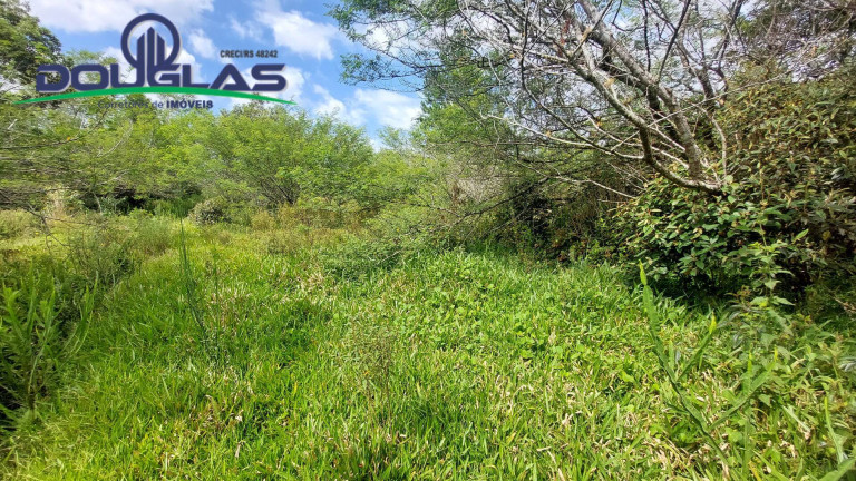 Imagem Chácara à Venda, 20.000 m² em águas Claras - Viamão Imagem Chácara à Venda, 20.000 m² em águas Claras - Viamão