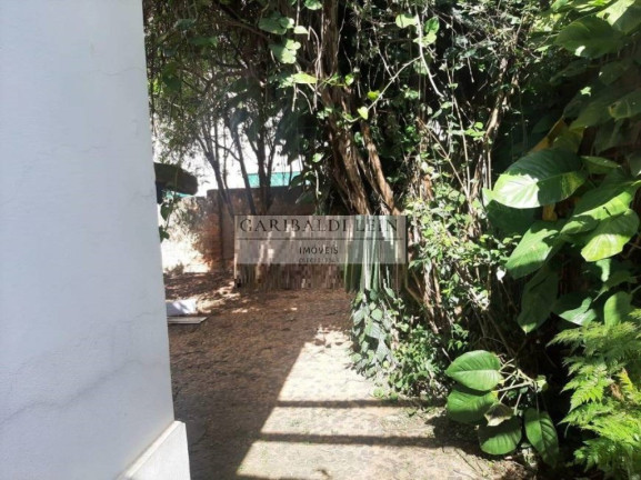 Imagem Imóvel com 3 Quartos à Venda, 184 m² em Botafogo - Campinas Imagem Imóvel com 3 Quartos à Venda, 184 m² em Botafogo - Campinas