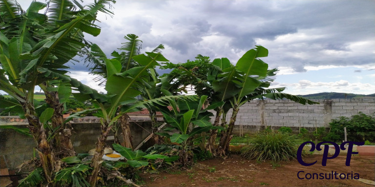Imagem Imóvel com 3 Quartos à Venda, 800 m² em Vale Do Atibaia I - Piracaia