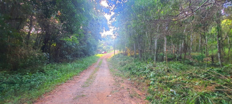 Imagem Imóvel à Venda, 282 m² em Loteamento Bosque Dos Palmares - Atibaia Imagem Imóvel à Venda, 282 m² em Loteamento Bosque Dos Palmares - Atibaia