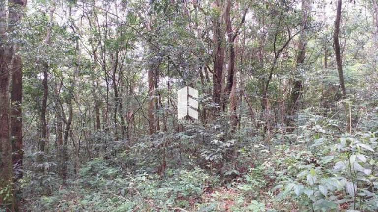 Imagem Imóvel à Venda, 28.000 m² em Campestre Do Menino Deus - Santa Maria Imagem Imóvel à Venda, 28.000 m² em Campestre Do Menino Deus - Santa Maria