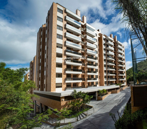 Imagem Apartamento com 4 Quartos à Venda, 108 m² em Itacorubi - Florianópolis Imagem Apartamento com 4 Quartos à Venda, 108 m² em Itacorubi - Florianópolis