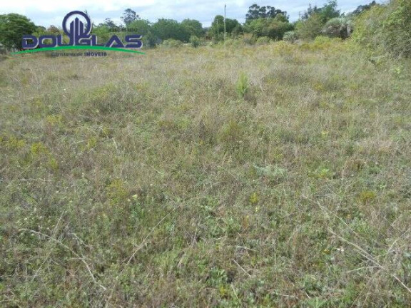 Imagem Imóvel Comercial à Venda, 3.640 m² em Morro Grande - Viamão Imagem Imóvel Comercial à Venda, 3.640 m² em Morro Grande - Viamão