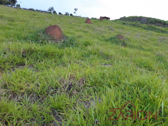 Imagem Chácara à Venda, 2.000 m² em Santa Luzia Rural - Taubaté