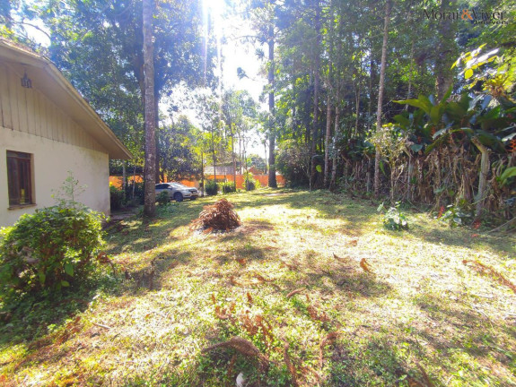 Imagem Chácara à Venda, 6.000 m² em Loteamento Chácara Chantecler - Piraquara Imagem Chácara à Venda, 6.000 m² em Loteamento Chácara Chantecler - Piraquara