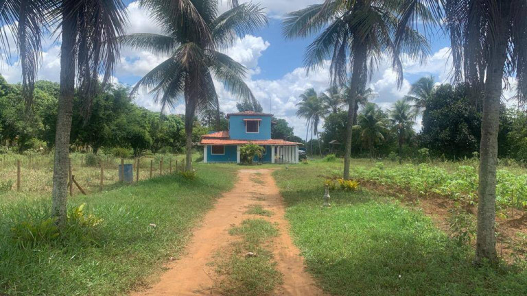 Imagem Chácara com 4 Quartos à Venda,  em Coração De Maria