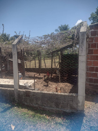 Imagem Chácara com 1 Quarto à Venda, 9.000 m² em Piau - Tibau Do Sul