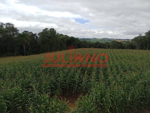 Imagem Chácara à Venda, 24.400 m² em Mafra Imagem Chácara à Venda, 24.400 m² em Mafra