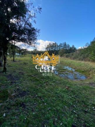 Imagem Imóvel à Venda, 20 m² em Serra Grande - Igrejinha Imagem Imóvel à Venda, 20 m² em Serra Grande - Igrejinha