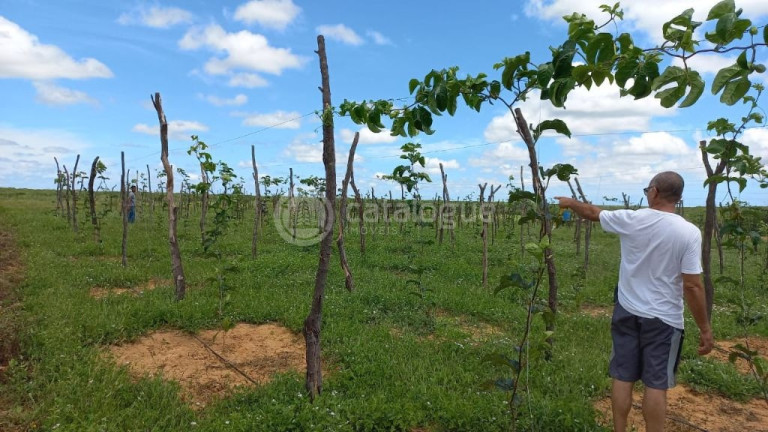 Imagem Fazenda à Venda, 3.000.000 m² em Rural - Jandaíra Imagem Fazenda à Venda, 3.000.000 m² em Rural - Jandaíra
