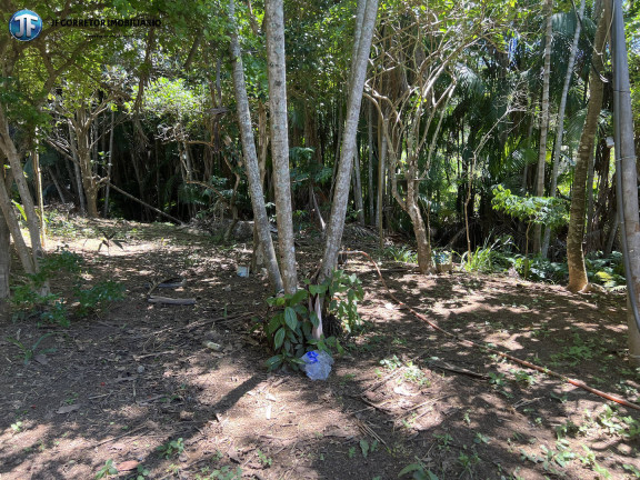Imagem Chácara com 3 Quartos à Venda, 5.000 m² em Agua Limpa Dos Antunes - Ipaba Imagem Chácara com 3 Quartos à Venda, 5.000 m² em Agua Limpa Dos Antunes - Ipaba