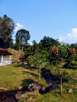 Imagem Imóvel com 3 Quartos à Venda,  em Comunidade Rural - Presidente Figueiredo