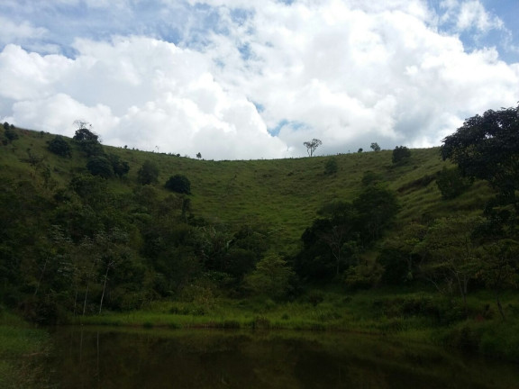 Imagem Fazenda à Venda, 100 m² em Centro - Taubaté Imagem Fazenda à Venda, 100 m² em Centro - Taubaté