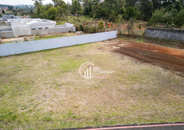 Imagem Terreno à Venda, 533 m² em Vila São João - Irati Imagem Terreno à Venda, 533 m² em Vila São João - Irati