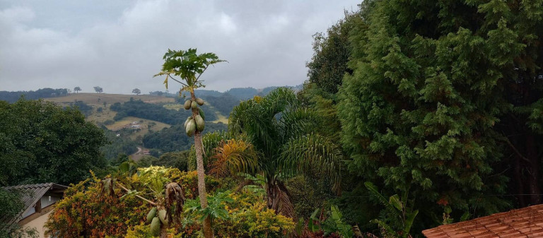 Imagem Chácara com 3 Quartos à Venda, 6.000 m² em Buenos - Piedade