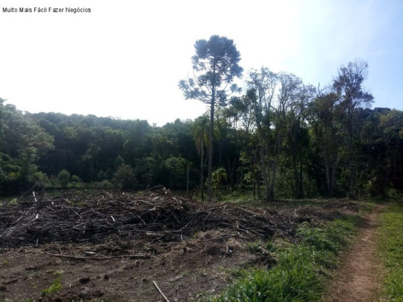 Imagem Terreno à Venda, 4 m² em Pinhal Alto - Nova Petrópolis Imagem Terreno à Venda, 4 m² em Pinhal Alto - Nova Petrópolis