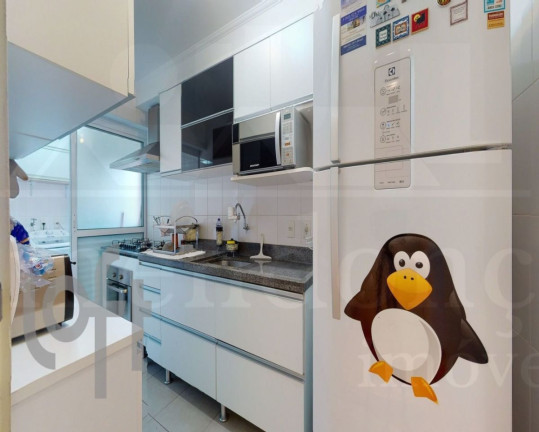 Imagem Apartamento com 2 Quartos à Venda, 74 m² em Vila Ipojuca - São Paulo Imagem Apartamento com 2 Quartos à Venda, 74 m² em Vila Ipojuca - São Paulo