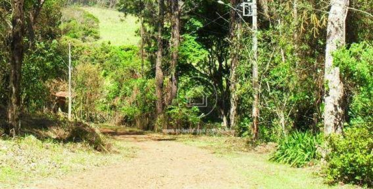 Imagem Casa de Condomínio com 4 Quartos à Venda, 290 m² em Condomínio Mãe Terra - Brumadinho