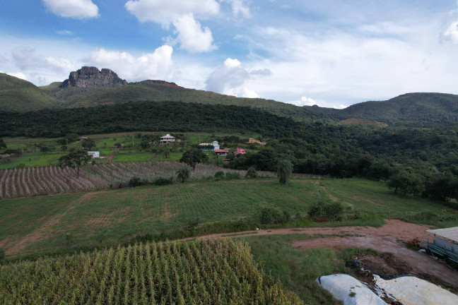 Imagem Terreno à Venda, 2 m² em Batatal - Igarapé Imagem Terreno à Venda, 2 m² em Batatal - Igarapé
