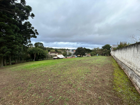 Terreno à Venda, 2.600 m² em Vila Bancária - Campo Largo