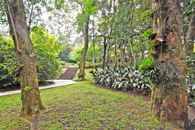 Imagem Casa com 5 Quartos à Venda, 976 m² em Cidade Jardim - São Paulo Imagem Casa com 5 Quartos à Venda, 976 m² em Cidade Jardim - São Paulo